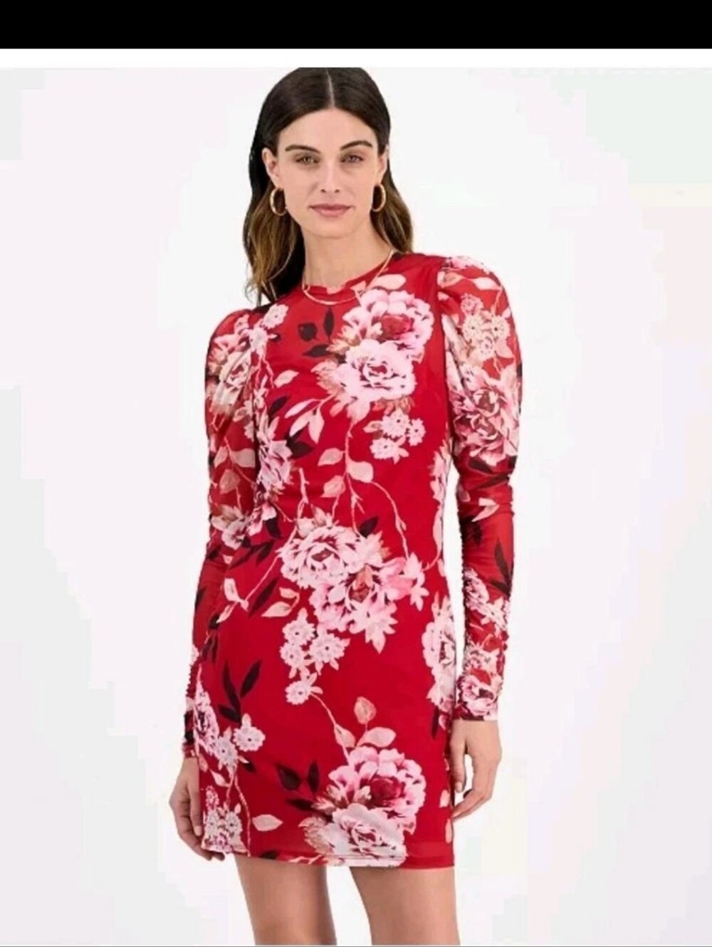 Fourteenth Place Red Pink Floral Mesh Long Puff Sleeve Mini Dress Size M NWT
